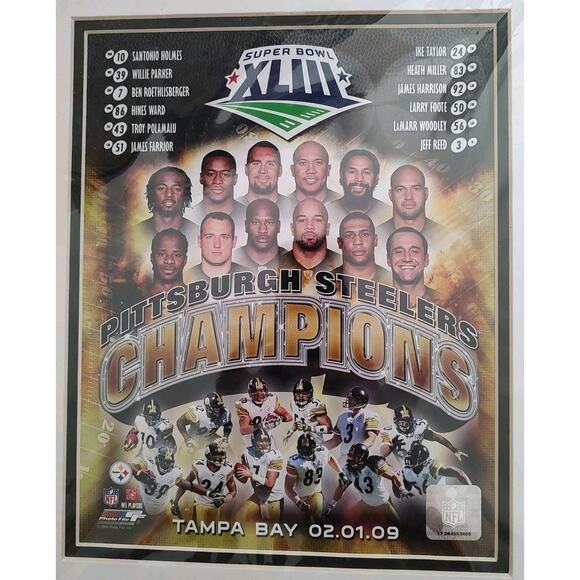 Pittsburgh Steelers 2009 Superbowl Champs Photo - Picture 2 of 4